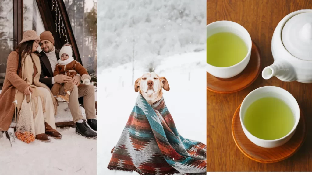 Como não sentir frio mesmo com temperatura baixa: Importante para crianças, pets e idosos.